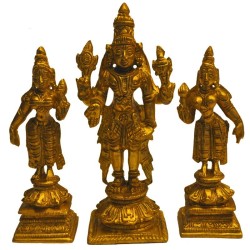 Srinivasa, Sridevi, Bhudevi 