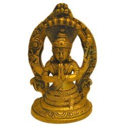 Padmavathi Brass Idol