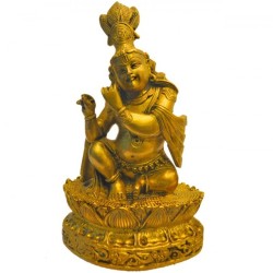 Muruli Krishna Brass Statue