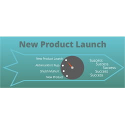 New Product Launch
