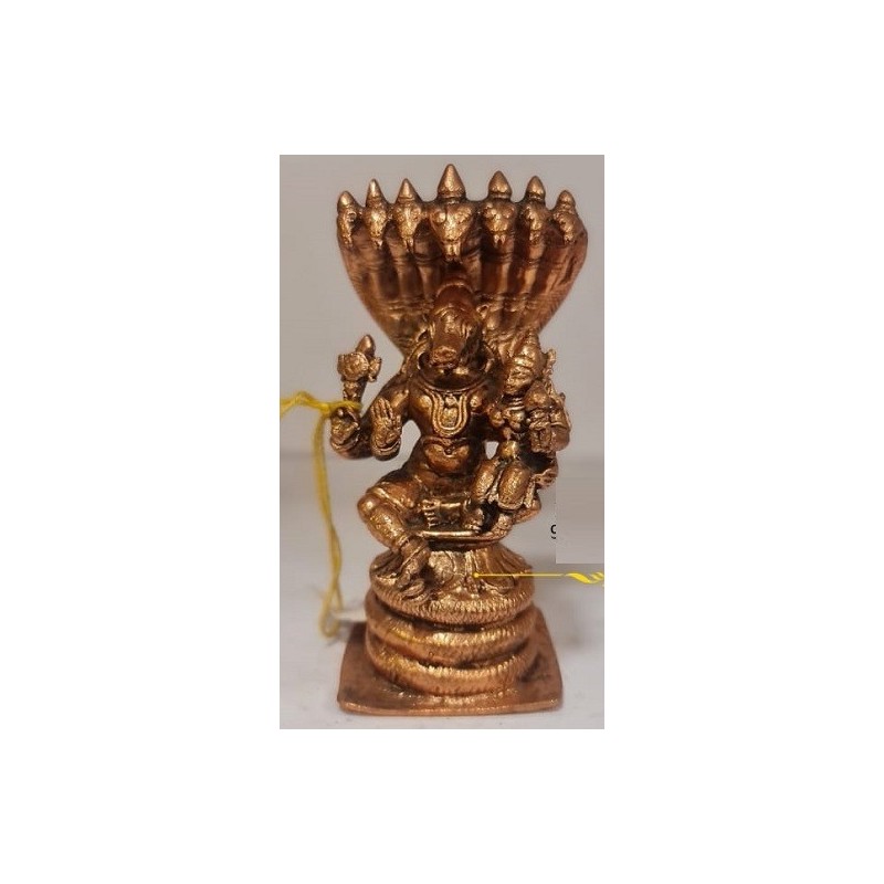 Varaha with Lakshmi on Sheshanaga Copper Statue