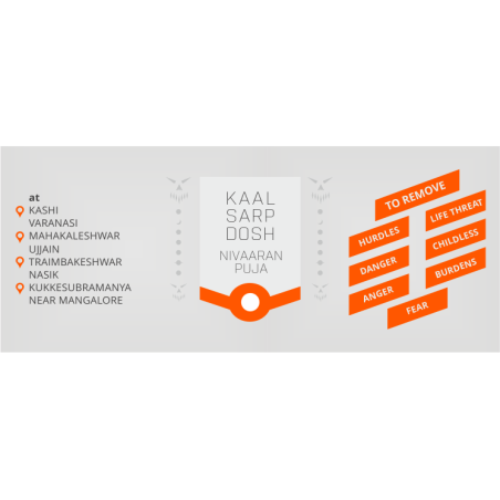 Kaalsarp Dosh Nivaran puja