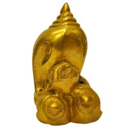Pancha Shanku Ganesha