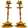 Peacock Brass lamp - 2 Pieces